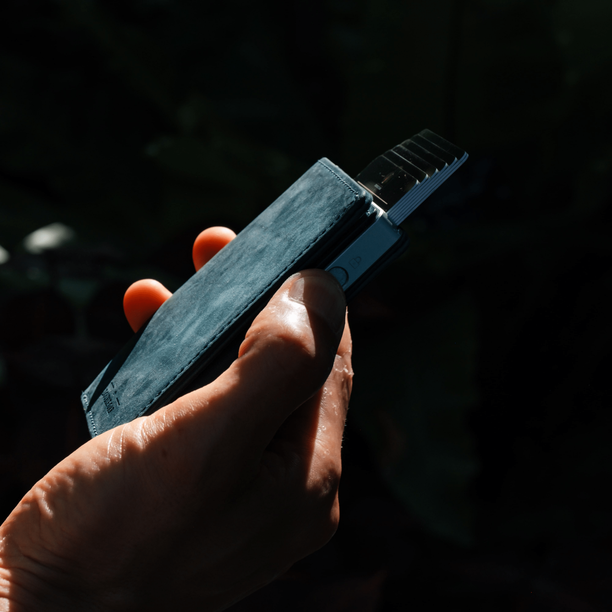 Bifold Wallet
