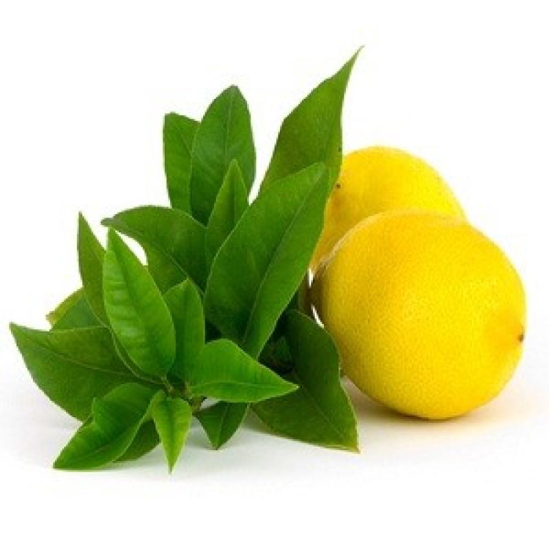 Lemon Verbena Soy Candle – Fresh & Citrusy Scent | Mam Jam’s