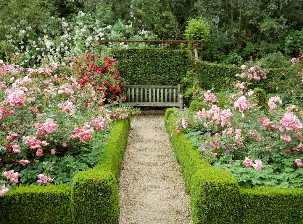 English Garden Soy Candle – Elegant Floral Scent | Mam Jam’s